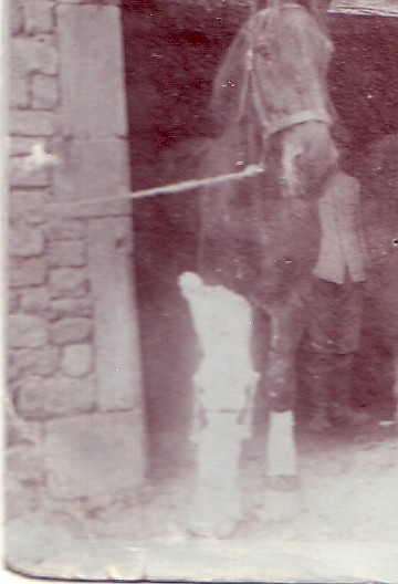 Datei:Schönrath Wund-orthopädische Versorgung Bild 3.jpg